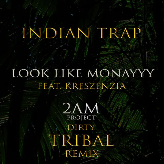 Look Like Monayyy (2am Project Dirty Tribal Remixes) [feat. Kreszenzia]