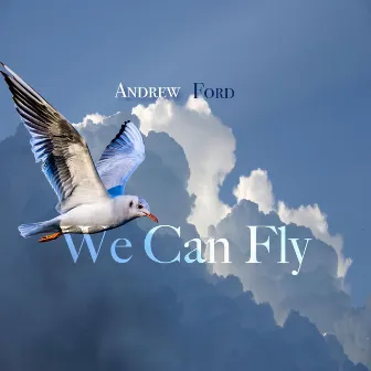 We Can Fly by Andrew Ford