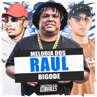 Melodia dos Raul Bigode by DJ ADL