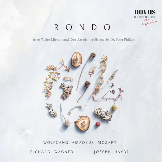 Andante with Variations in F Minor, H.XVII:6 - Duca 516