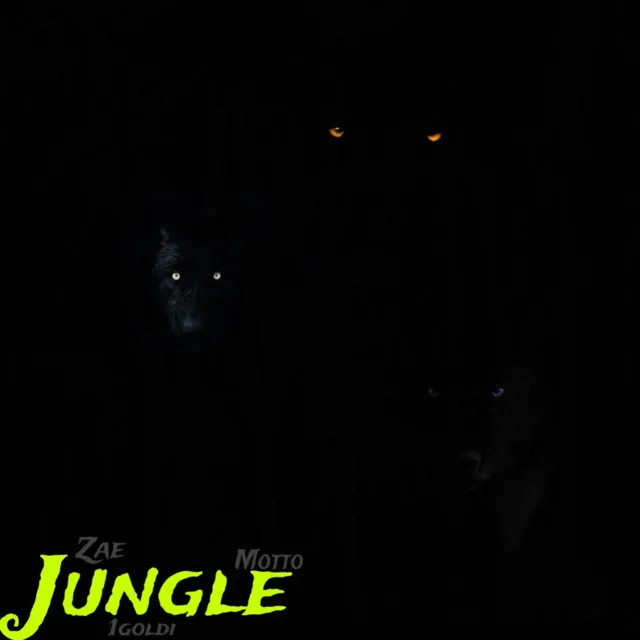 Jungle