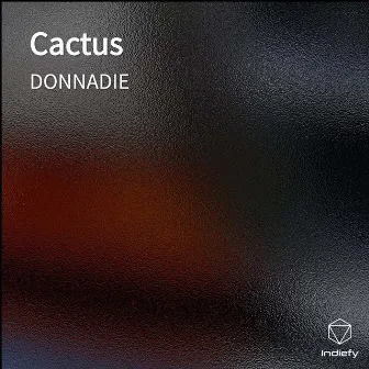 Cactus by DONNADIE