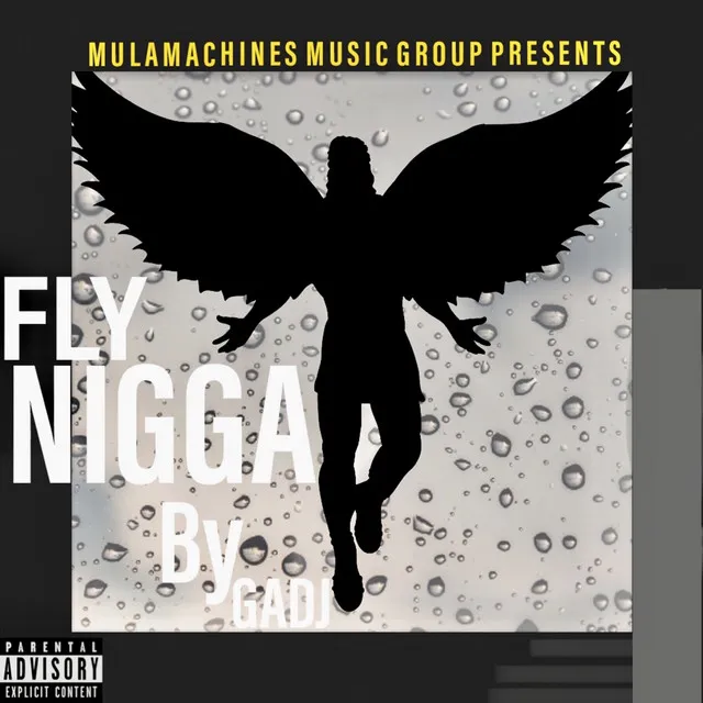 Fly Nigga