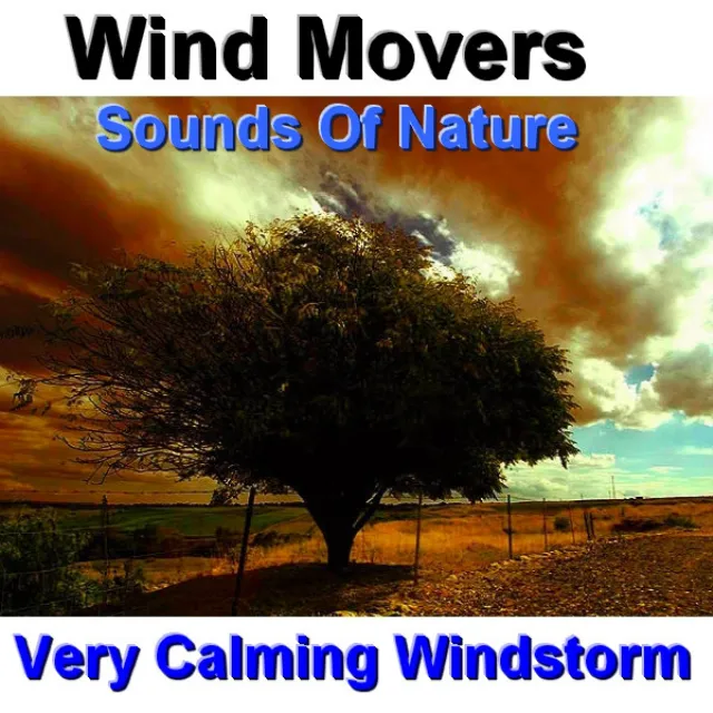 Very Calming Wind Storm