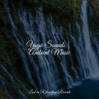 Yoga Sounds | Ambient Music by Nature Sound Collection