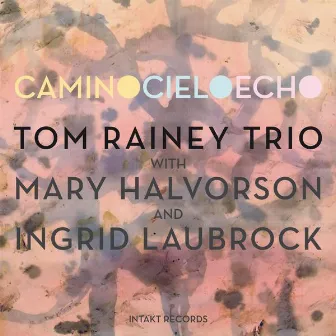 Camino Cielo Echo by Tom Rainey Trio