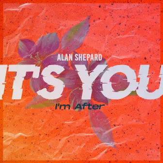 It's You (I'm after) by Alan Shepard