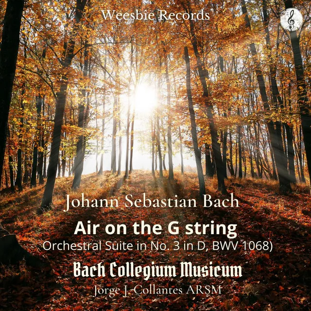 Orchestral Suite No. 3 in D Major, BWV 1068: Air on the G string