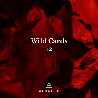 Wild Cards 12 by KellAr