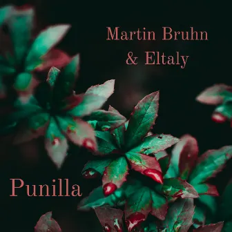 Punilla by Martin Bruhn