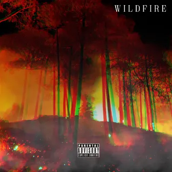 Wildfire by Skates Beats