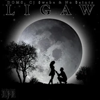 Ligaw by DOMS