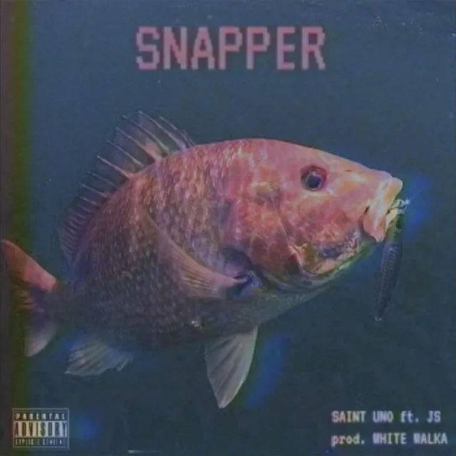 Snapper