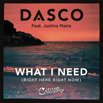 What I Need (Right Here, Right Now) by Dasco