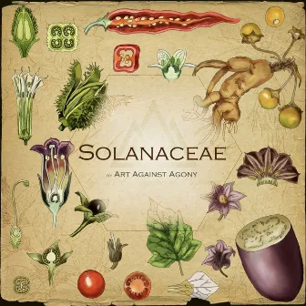 Solanaceae by Art Against Agony