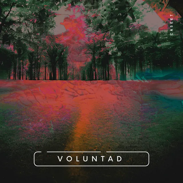 Voluntad