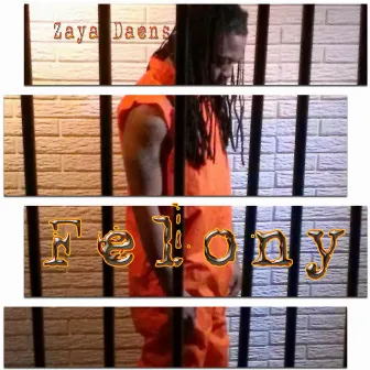 Felony by Zaya Daens