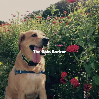 The Solo Barker by Musica Per Cani