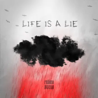 Life Is A Lie by Fabian Secon