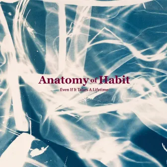 Even If It Takes a Lifetime by Anatomy Of Habit