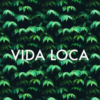 VIDA LOCA by SteF