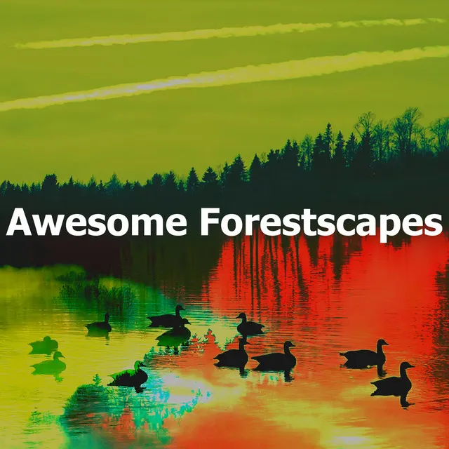 Awesome Forestscapes