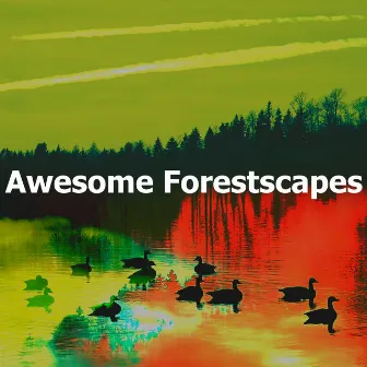 Awesome Forestscapes by Forest Sounds FX