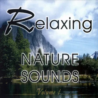 Relaxing Nature Sounds Vol. 1 by Studio Orchestra