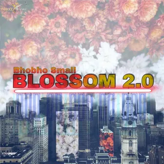 Blossom 2.0 by Bhobho Small