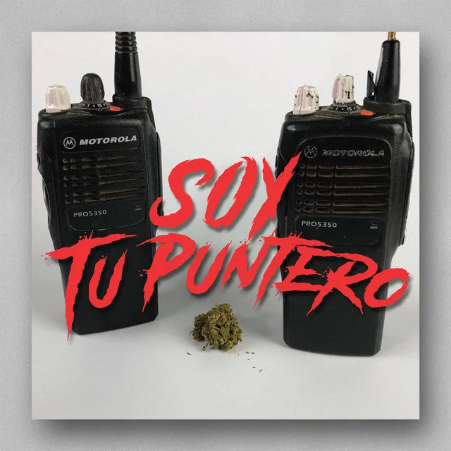 Soy Tu Puntero