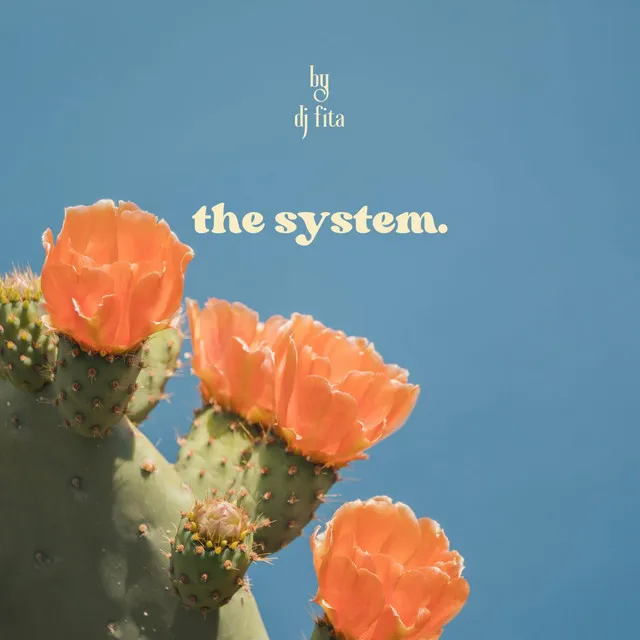 The System