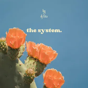 The System by DJ Fita