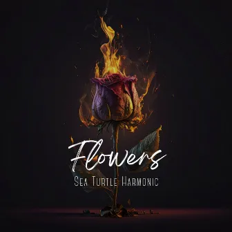 Flowers by Sea Turtle Harmonic