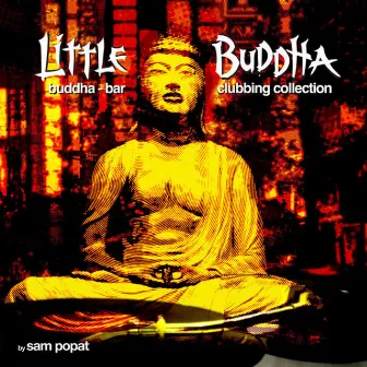 Little Buddha by Sam Popat