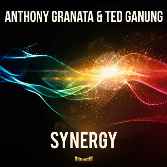 Synergy by Anthony Granata