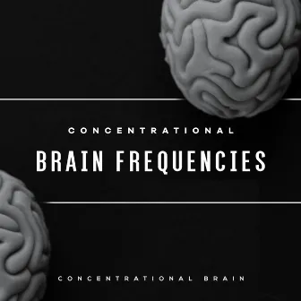 Concentrational Brain Frequencies by Unknown Artist