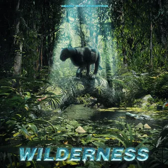 Wilderness by Amadea Music Productions