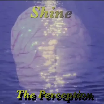 Shine by Perception