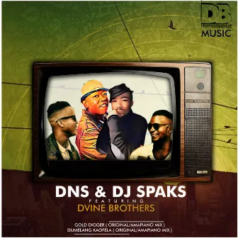 Gold Digger by DJ Sparks