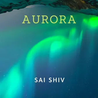 Aurora by Sameer Rao