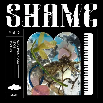 Shame by Örvar Smárason