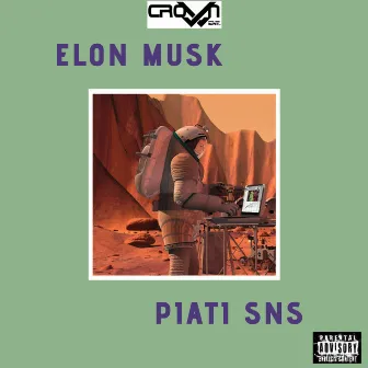 Elon Musk by Piati