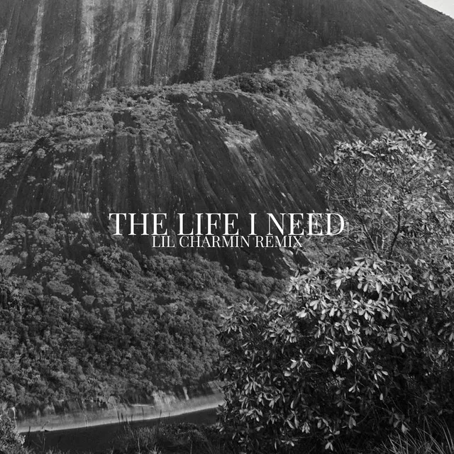 The Life I Need - Lil Charmin Remix