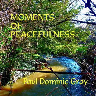 Moments of Peacefulness by Paul Dominic Gray