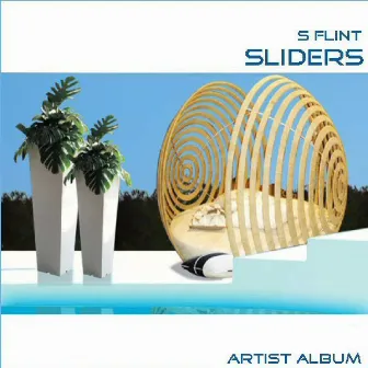 Sliders by S Flint