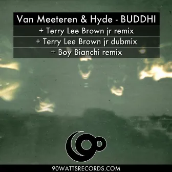 Buddhi by Van Meeteren