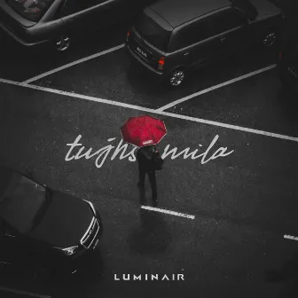 Tujhse Mila by luminair