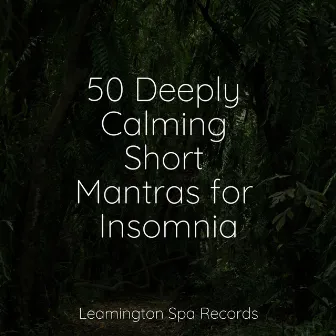 50 Deeply Calming Short Mantras for Insomnia by SleepTherapy