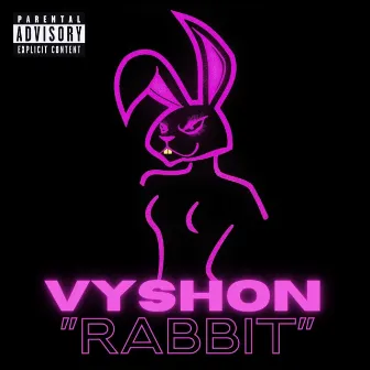 Rabbit by Vyshon