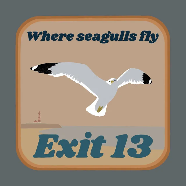 Where Seagulls Fly